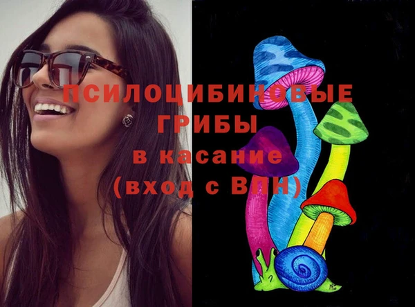 прущая мука Армянск