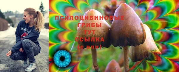прущая мука Армянск